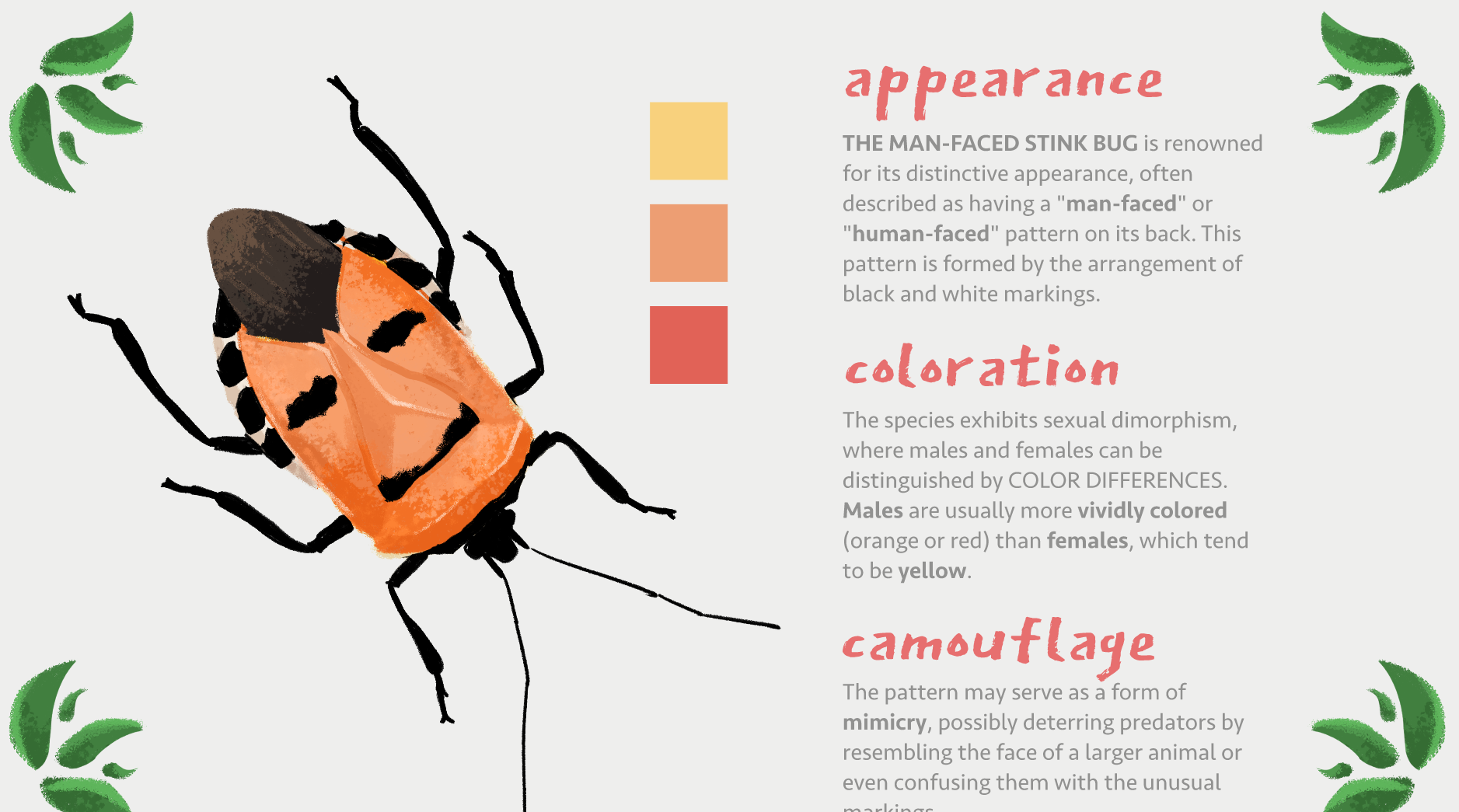 Colruyt Design Process 4